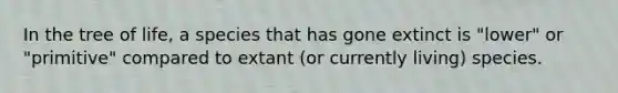 In the tree of life, a species that has gone extinct is "lower" or "primitive" compared to extant (or currently living) species.