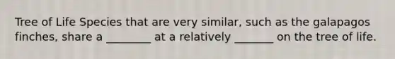 Tree of Life Species that are very similar, such as the galapagos finches, share a ________ at a relatively _______ on the tree of life.