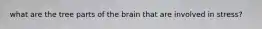 what are the tree parts of the brain that are involved in stress?