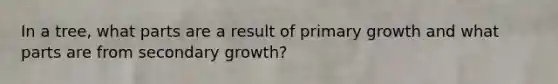 In a tree, what parts are a result of primary growth and what parts are from secondary growth?