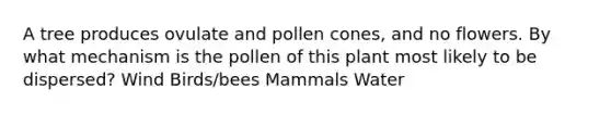 A tree produces ovulate and pollen cones, and no flowers. By what mechanism is the pollen of this plant most likely to be dispersed? Wind Birds/bees Mammals Water