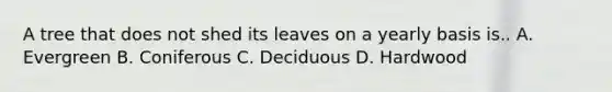 A tree that does not shed its leaves on a yearly basis is.. A. Evergreen B. Coniferous C. Deciduous D. Hardwood