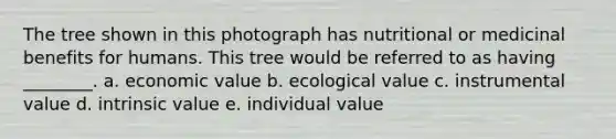 The tree shown in this photograph has nutritional or medicinal benefits for humans. This tree would be referred to as having ________. a. economic value b. ecological value c. instrumental value d. intrinsic value e. individual value