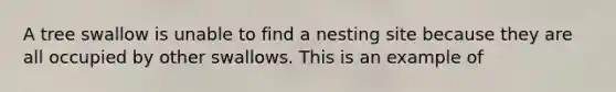 A tree swallow is unable to find a nesting site because they are all occupied by other swallows. This is an example of
