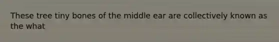 These tree tiny bones of the middle ear are collectively known as the what