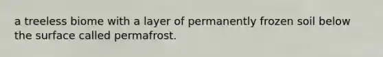 a treeless biome with a layer of permanently frozen soil below the surface called permafrost.