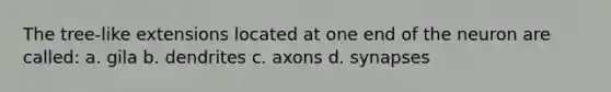 The tree-like extensions located at one end of the neuron are called: a. gila b. dendrites c. axons d. synapses