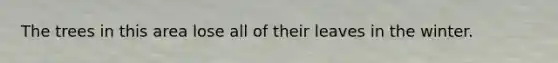 The trees in this area lose all of their leaves in the winter.