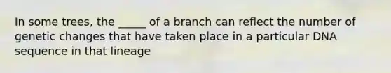 In some trees, the _____ of a branch can reflect the number of genetic changes that have taken place in a particular DNA sequence in that lineage