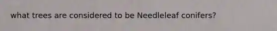 what trees are considered to be Needleleaf conifers?