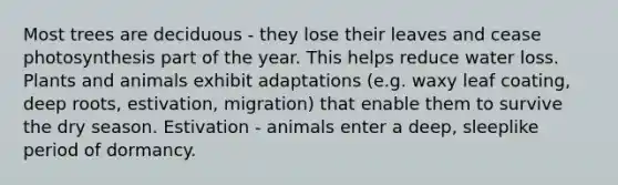 Most trees are deciduous - they lose their leaves and cease photosynthesis part of the year. This helps reduce water loss. Plants and animals exhibit adaptations (e.g. waxy leaf coating, deep roots, estivation, migration) that enable them to survive the dry season. Estivation - animals enter a deep, sleeplike period of dormancy.