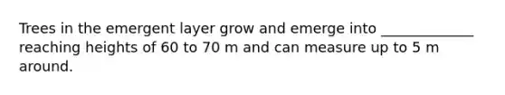 Trees in the emergent layer grow and emerge into _____________ reaching heights of 60 to 70 m and can measure up to 5 m around.