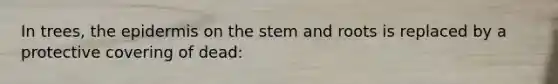 In trees, the epidermis on the stem and roots is replaced by a protective covering of dead: