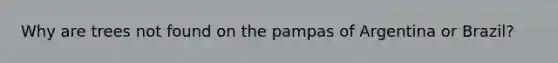 Why are trees not found on the pampas of Argentina or Brazil?