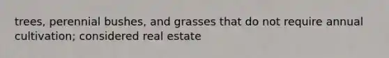 trees, perennial bushes, and grasses that do not require annual cultivation; considered real estate