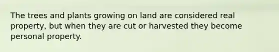 The trees and plants growing on land are considered real property, but when they are cut or harvested they become personal property.