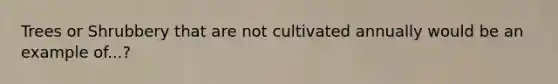 Trees or Shrubbery that are not cultivated annually would be an example of...?