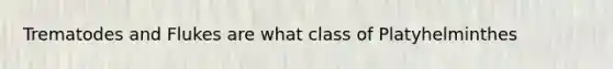 Trematodes and Flukes are what class of Platyhelminthes