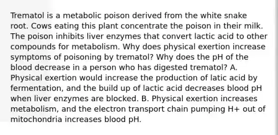 Trematol is a metabolic poison derived from the white snake root. Cows eating this plant concentrate the poison in their milk. The poison inhibits liver enzymes that convert lactic acid to other compounds for metabolism. Why does physical exertion increase symptoms of poisoning by trematol? Why does the pH of the blood decrease in a person who has digested trematol? A. Physical exertion would increase the production of latic acid by fermentation, and the build up of lactic acid decreases blood pH when liver enzymes are blocked. B. Physical exertion increases metabolism, and the electron transport chain pumping H+ out of mitochondria increases blood pH.