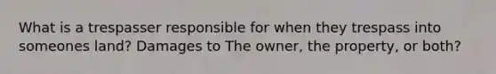 What is a trespasser responsible for when they trespass into someones land? Damages to The owner, the property, or both?