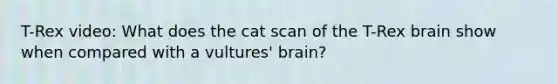 T-Rex video: What does the cat scan of the T-Rex brain show when compared with a vultures' brain?