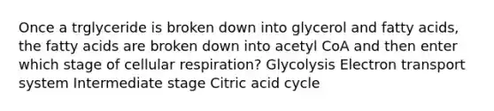 Once a trglyceride is broken down into glycerol and fatty acids, the fatty acids are broken down into acetyl CoA and then enter which stage of cellular respiration? Glycolysis Electron transport system Intermediate stage Citric acid cycle