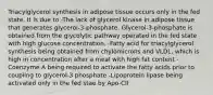 Triacylglycerol synthesis in adipose tissue occurs only in the fed state. It is due to -The lack of glycerol kinase in adipose tissue that generates glycerol-3-phosphate. Glycerol-3-phosphate is obtained from the glycolytic pathway operated in the fed state with high glucose concentration. -Fatty acid for triacylglycerol synthesis being obtained from chylomicrons and VLDL, which is high in concentration after a meal with high fat content -Coenzyme A being required to activate the fatty acids prior to coupling to glycerol-3 phosphate -Lipoprotein lipase being activated only in the fed stae by Apo-CII