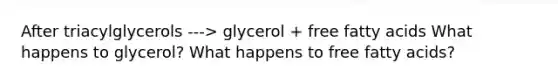 After triacylglycerols ---> glycerol + free fatty acids What happens to glycerol? What happens to free fatty acids?