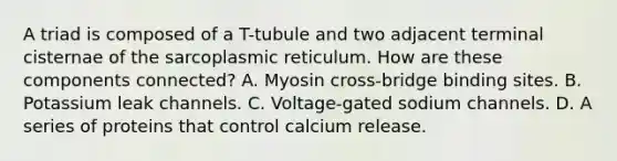 A triad is composed of a T-tubule and two adjacent terminal cisternae of the sarcoplasmic reticulum. How are these components connected? A. Myosin cross-bridge binding sites. B. Potassium leak channels. C. Voltage-gated sodium channels. D. A series of proteins that control calcium release.