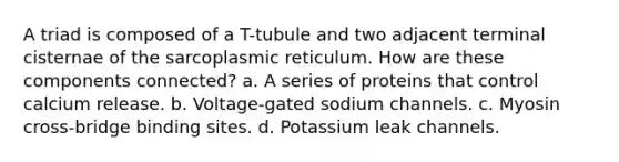 A triad is composed of a T-tubule and two adjacent terminal cisternae of the sarcoplasmic reticulum. How are these components connected? a. A series of proteins that control calcium release. b. Voltage-gated sodium channels. c. Myosin cross-bridge binding sites. d. Potassium leak channels.