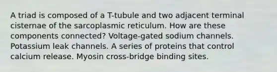 A triad is composed of a T-tubule and two adjacent terminal cisternae of the sarcoplasmic reticulum. How are these components connected? Voltage-gated sodium channels. Potassium leak channels. A series of proteins that control calcium release. Myosin cross-bridge binding sites.