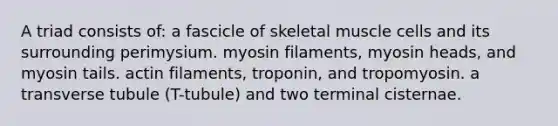 A triad consists of: a fascicle of skeletal muscle cells and its surrounding perimysium. myosin filaments, myosin heads, and myosin tails. actin filaments, troponin, and tropomyosin. a transverse tubule (T-tubule) and two terminal cisternae.