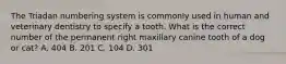 The Triadan numbering system is commonly used in human and veterinary dentistry to specify a tooth. What is the correct number of the permanent right maxillary canine tooth of a dog or cat? A. 404 B. 201 C. 104 D. 301