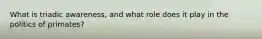 What is triadic awareness, and what role does it play in the politics of primates?