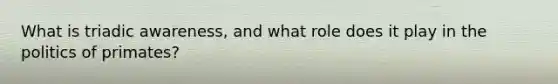 What is triadic awareness, and what role does it play in the politics of primates?