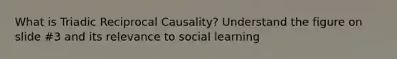 What is Triadic Reciprocal Causality? Understand the figure on slide #3 and its relevance to social learning