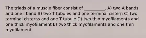 The triads of a muscle fiber consist of __________. A) two A bands and one I band B) two T tubules and one terminal cistern C) two terminal cisterns and one T tubule D) two thin myofilaments and one thick myofilament E) two thick myofilaments and one thin myofilament