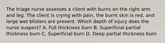 The triage nurse assesses a client with burns on the right arm and leg. The client is crying with pain, the burnt skin is red, and large wet blisters are present. Which depth of injury does the nurse suspect? A. Full thickness burn B. Superficial partial thickness burn C. Superficial burn D. Deep partial thickness burn