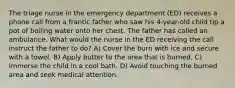 The triage nurse in the emergency department (ED) receives a phone call from a frantic father who saw his 4-year-old child tip a pot of boiling water onto her chest. The father has called an ambulance. What would the nurse in the ED receiving the call instruct the father to do? A) Cover the burn with ice and secure with a towel. B) Apply butter to the area that is burned. C) Immerse the child in a cool bath. D) Avoid touching the burned area and seek medical attention.