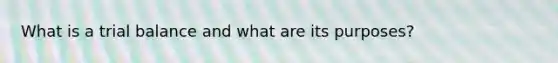 What is a trial balance and what are its purposes?