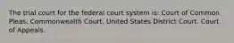 The trial court for the federal court system is: Court of Common Pleas. Commonwealth Court. United States District Court. Court of Appeals.