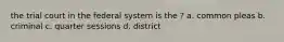 the trial court in the federal system is the ? a. common pleas b. criminal c. quarter sessions d. district