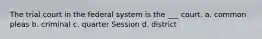 The trial court in the federal system is the ___ court. a. common pleas b. criminal c. quarter Session d. district