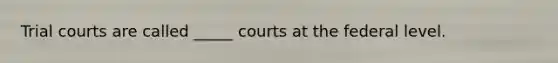 Trial courts are called _____ courts at the federal level.