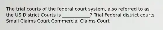 The trial courts of the federal court system, also referred to as the US District Courts is ____________? Trial Federal district courts Small Claims Court Commercial Claims Court