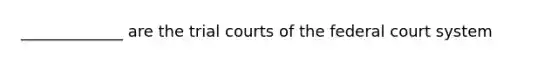 _____________ are the trial courts of the federal court system