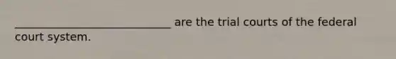 ____________________________ are the trial courts of the federal court system.