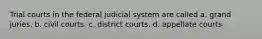 Trial courts in the federal judicial system are called a. grand juries. b. civil courts. c. district courts. d. appellate courts