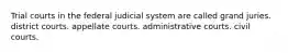 Trial courts in the federal judicial system are called grand juries. district courts. appellate courts. administrative courts. civil courts.