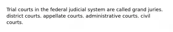 Trial courts in the federal judicial system are called grand juries. district courts. appellate courts. administrative courts. civil courts.